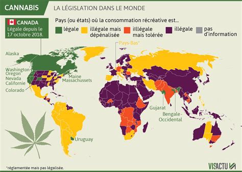 carte interactive montrant la légalisation du cannabis dans le monde