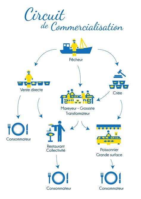 Infographie sur les différents circuits de commercialisation maraîchère