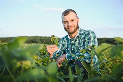 Un agriculteur répandant du compost vert sur un champ