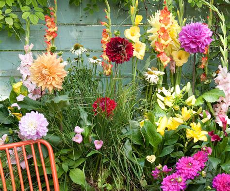 Composition florale de bulbes d'été