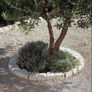 Bordure de jardin en pierre autour d'un arbre