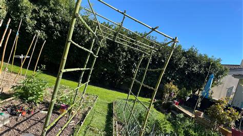 Titre: Vue d'ensemble d'un potager en bambou avec des structures variées