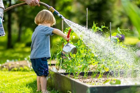 Une personne arrosant des plantes dans une jardinière fraîchement plantée
