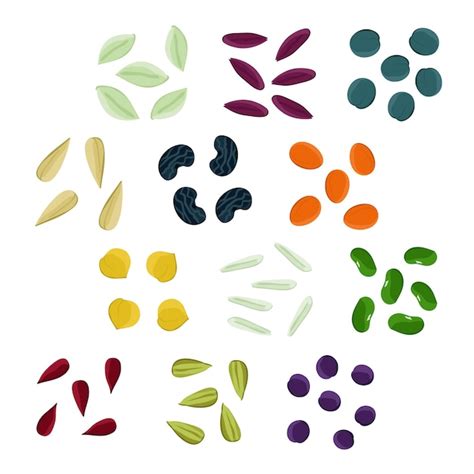 Illustration de diverses graines maraîchères dans les mains d'un jardinier
