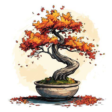 Illustration d'un bonsaï Buxus dans un pot traditionnel