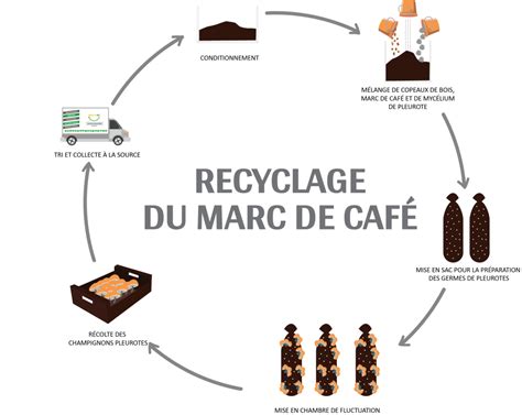 Schéma illustrant le cycle du café, de la tasse au recyclage du marc