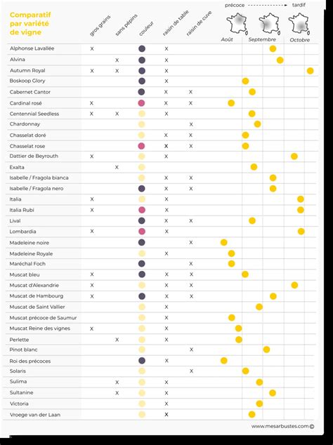 Tableau comparatif des variétés de figuiers selon leur période de récolte