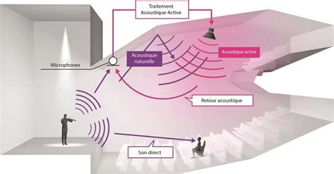 Schéma conceptuel du fonctionnement d'un capteur acoustique mesurant la densité interne d'un tubercule en terre