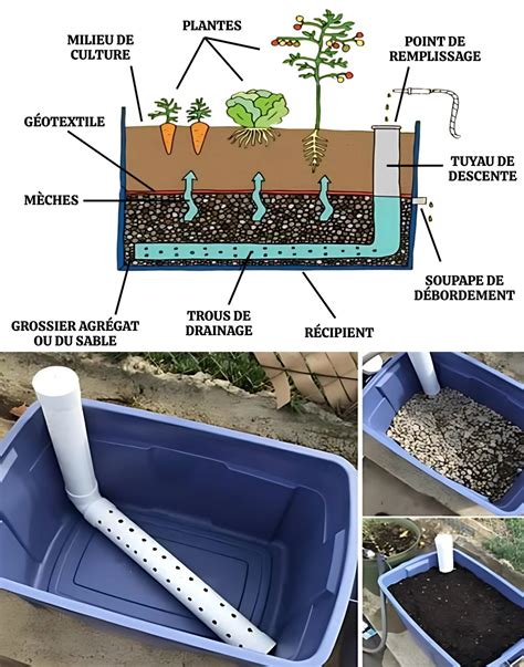 Exemple de substrat bien drainé avec perlite