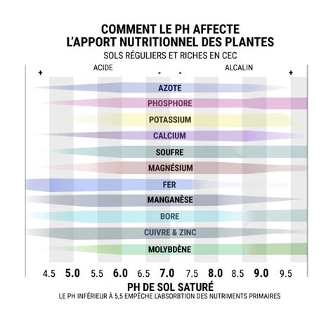 Tableau des niveaux de pH idéaux pour la culture de cannabis