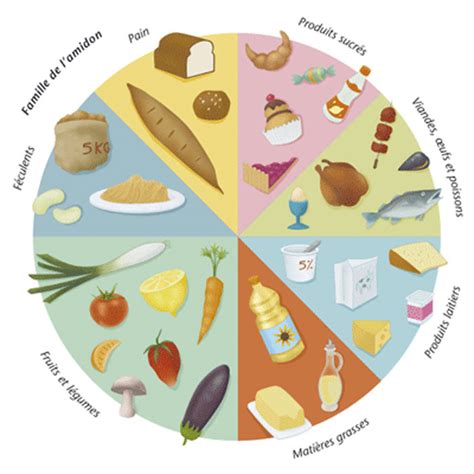 Schéma des besoins nutritionnels de la betterave