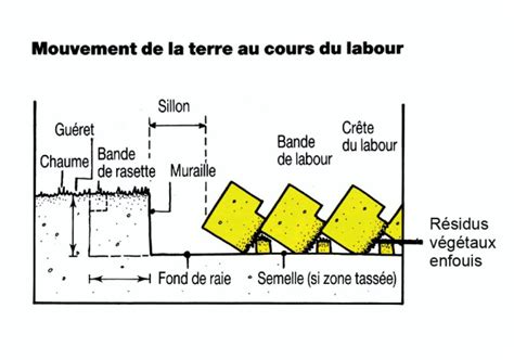 Schéma comparatif des types de labour (dressé vs couché)