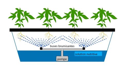 Système de bouturage aéroponique en fonctionnement