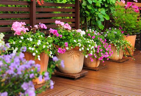 pots de fleurs colorés sur une rambarde de terrasse