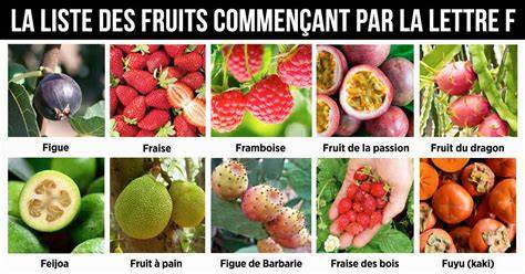 Illustration d'une variété de fruits commençant par la lettre F
