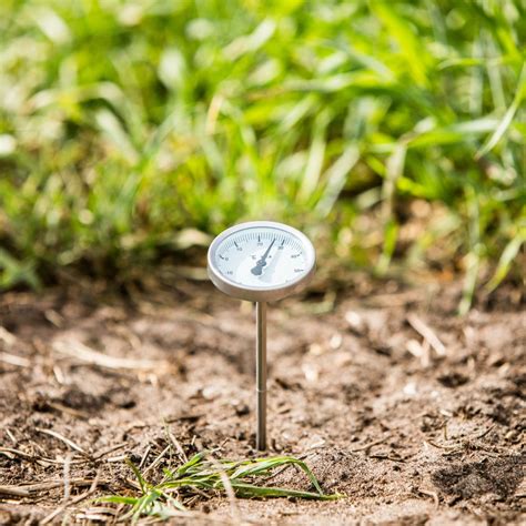 Thermomètre de sol pour semis