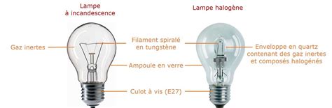 Schéma explicatif du fonctionnement par capillarité d'une ampoule d'arrosage plantée dans un pot de fleurs