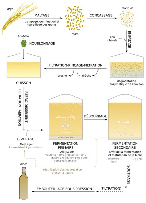 Schéma illustrant la formation des Kraüsens en surface d'une bière en fermentation