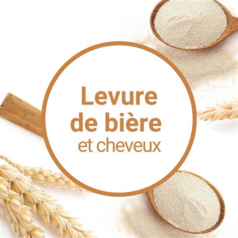 Infographie comparant la bière de levure et la bière d'origine