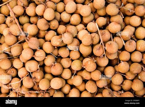 Fruits de longane frais