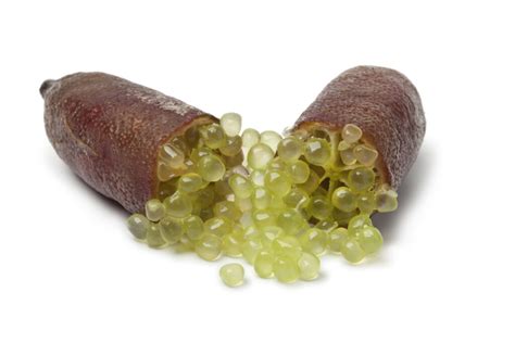 Plan rapproché montrant les perles translucides d'un citron caviar coupé en deux