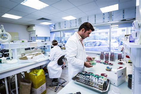 Laboratoire de recherche agricole avec des techniciens analysant des plants