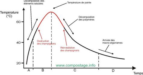 Schéma illustrant les différentes phases de température du compostage : mésophile, thermophile et maturation