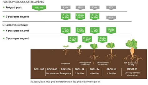 Schéma illustrant l'évolution des pratiques de désherbage : du tout post-levée vers des programmes d'automne structurés