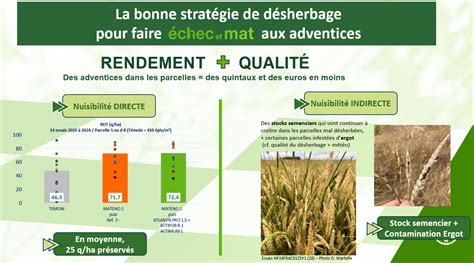 Graphique comparatif des performances de l'aclonifène en prélevée versus post-levée sur vulpin et ray-grass