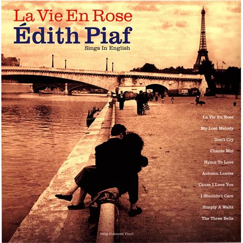 Plan rapproché d'une rose Edith Piaf rouge velouté montrant la texture des pétales et la santé du feuillage
