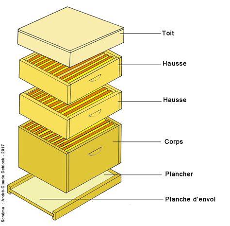 Schéma technique d'une ruche Voirnot en coupe montrant la disposition des cadres et du corps cubique