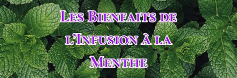 Schéma illustrant les composants de l'infusion et leurs bienfaits naturels