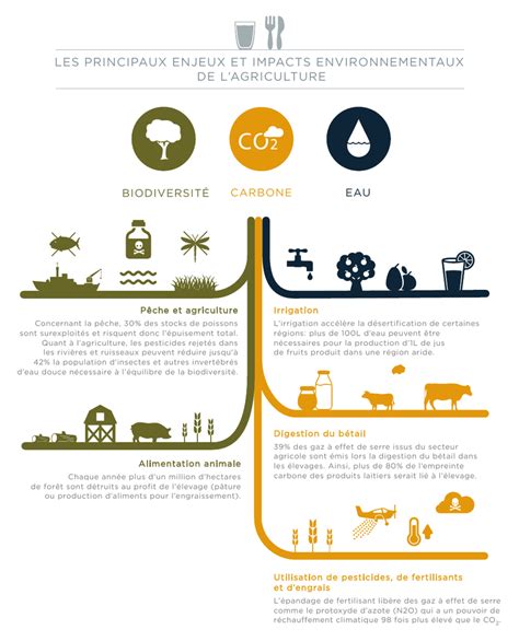 Infographie sur les impacts environnementaux de la lixiviation