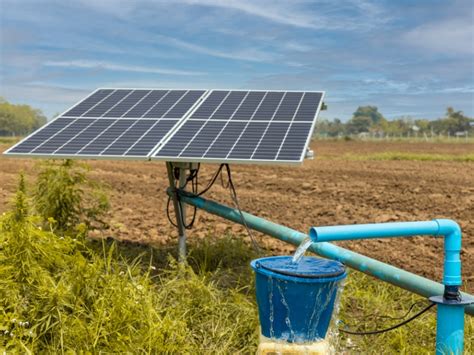 Panneaux solaires alimentant une pompe à eau pour l'irrigation