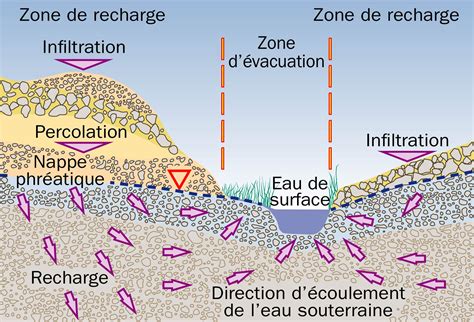 Graphique montrant l'infiltration de l'eau selon le type de plantation (en ligne vs courbes de niveau)