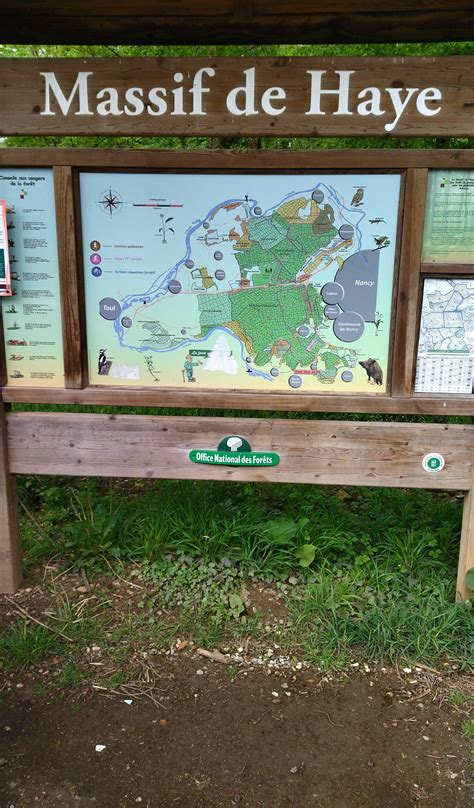 Plan historique des installations militaires de la forêt de Haye