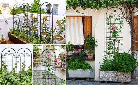 Différents types de supports pour plantes grimpantes