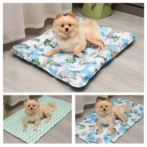 Accessoires de rafraîchissement pour chiens