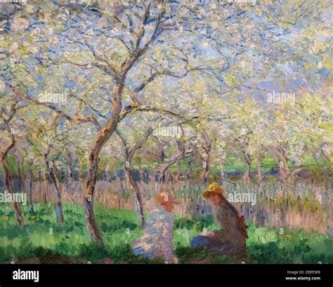 une peinture impressionniste d'hortensias dans un jardin botanique du XIXe siècle