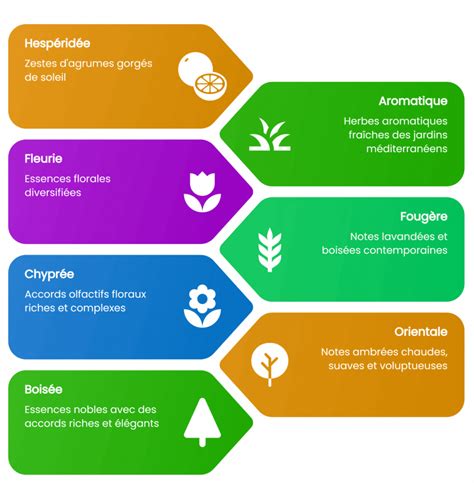 Infographie des notes olfactives de la figue
