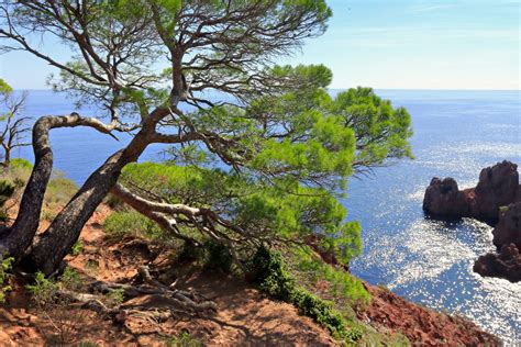 Vue panoramique du parc de loisirs entouré par la végétation dense des Alpes-Maritimes