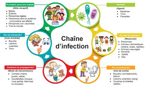 Carte thermique montrant la propagation spatiale d'une infection fongique dans une plantation