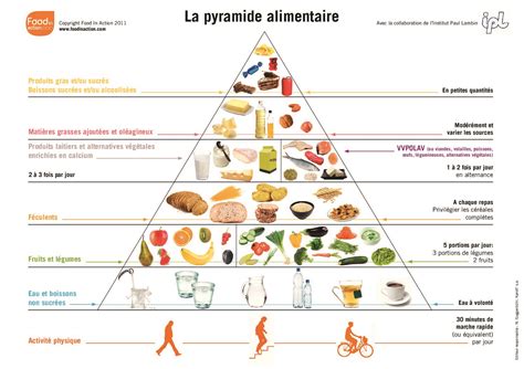 Infographie illustrant la pyramide alimentaire idéale pour un cheval Hackney sportif.