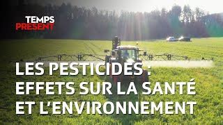Schéma comparatif des effets des pesticides sur l'environnement et la santé