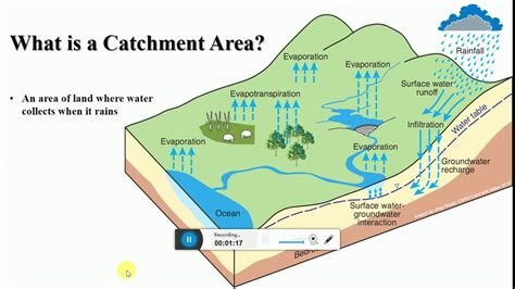 Miscanthus field with water catchment area