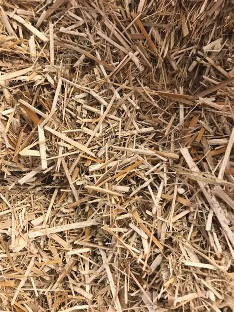 Miscanthus animal bedding
