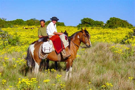 Défilé de gauchos à cheval lors d'une fête traditionnelle