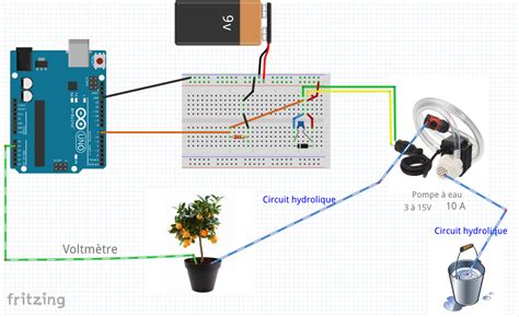Schéma d'un système d'arrosage goutte à goutte avec programmateur