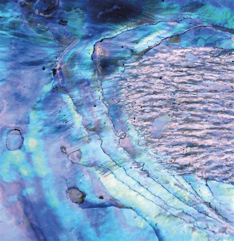 Gros plan sur la texture feuilletée et les reflets bleutés de l'ardoise de jardin
