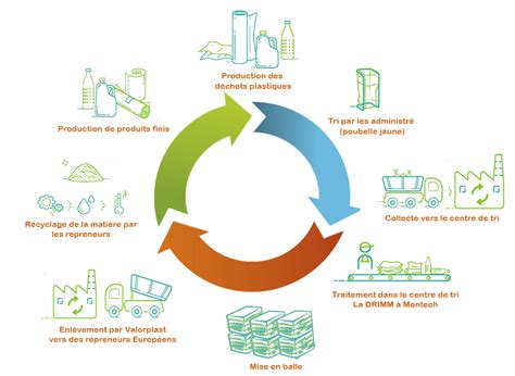 Schéma illustrant le cycle de transformation des déchets organiques par les larves BSF